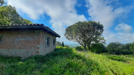 Foto Villa unifamiliare in P P.za Garibaldi  13, Scansano Centro di 47 m²