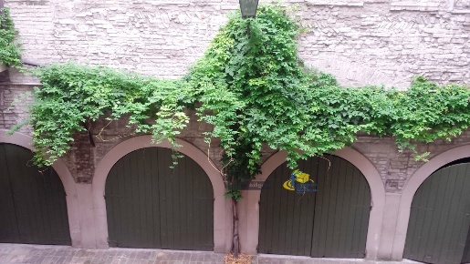 Foto Appartamento in Strada G. Garibaldi 55, Parma Centro Storico di 35 m²