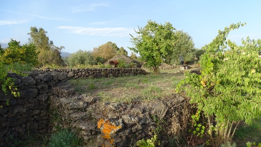 Foto Terreno agricolo in Via Alto Adige, Mascalucia Centro di 7355 m²
