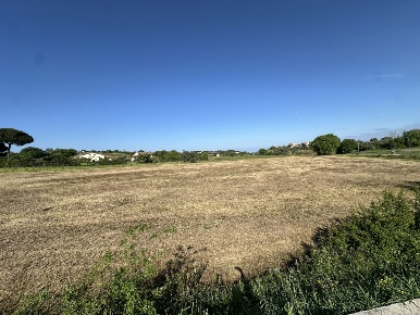 Foto Terreno agricolo in Via Aldo Moro 1, Montescudaio di 15480 m²