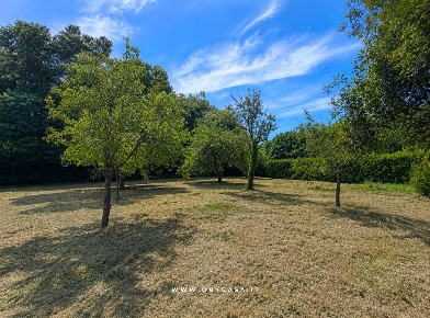 Foto Terreno agricolo in canale monterano - montevirginio, Canale Monterano