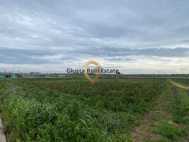 Foto Terreno agricolo in contrada Taverna sn, Brindisi Centro Storico