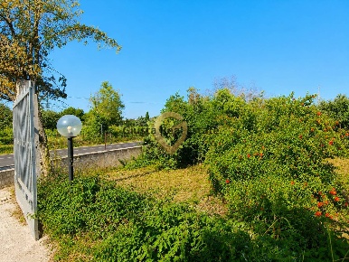 Foto Villa unifamiliare in Contrada Pappadà 43, Oria di 119 m² con 4 locali