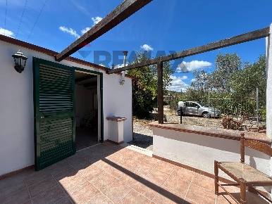 Foto Case semi ndipendenti in Loc.Palude Mezzane snc, Vieste Palude Mezzane