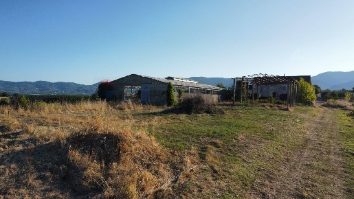 Foto Terreno agricolo in Via San Pantaleo, Vinci di 15000 m² in vendita