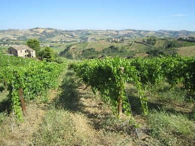 Foto Rustico in Borgo Miriam, Offida Borgo Miriam di 180 m² con 6 locali
