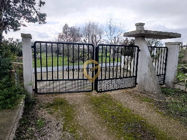 Foto Terreno agricolo in Contrada Santa Caterina sn, San Vito dei Normanni