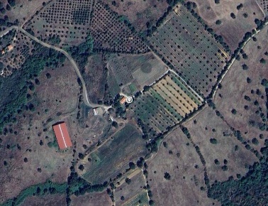 Foto Cessione attività in Loc Mandorlaie, Scansano di 140 m² con 15 locali