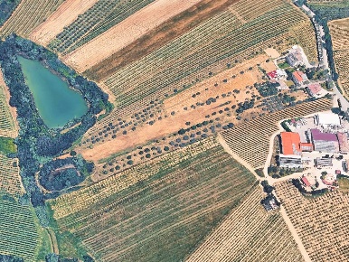 Foto Terreno agricolo in Contrada San Biagio, Controguerra di 10762 m²