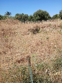 Foto Terreno residenziale in CONTRADA CARANCINO 6, Siracusa di 1528 m²