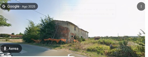 Foto Casale a Bientina Centro di 213 m² con 10 locali in vendita