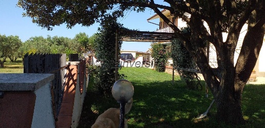 Foto Villa unifamiliare a Magliano in Toscana di 350 m² con 10 locali