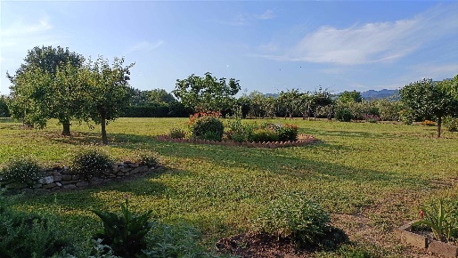 Foto Terreno agricolo a Borgo San Lorenzo Centro di 3500 m² in vendita