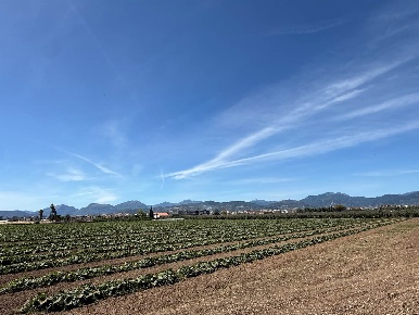 Foto Terreno agricolo in Via Fosso Pioppo, Battipaglia Centro di 5500 m²