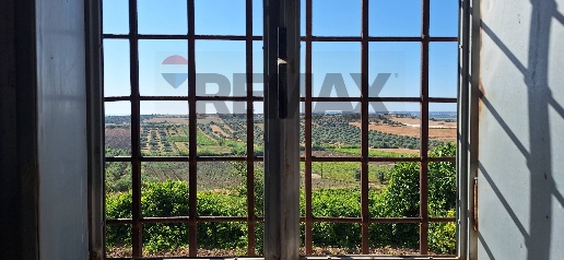 Foto Rustico in Contrada Benuini snc, Noto di 1200 m² con 18 locali