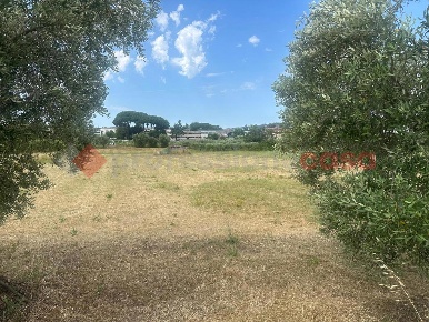 Foto Terreno agricolo in degli Aranci, Albano Laziale Cecchina di 4860 m²
