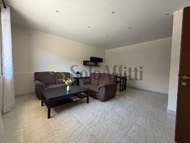 Foto Appartamento a Frosinone Tribunale di 60 m² con 3 locali in affitto