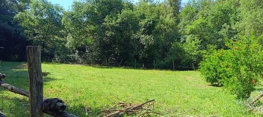 Foto Terreno agricolo in Via Rimembranze 45, Amelia Centro di 10400 m²