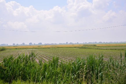 Foto Terreno agricolo a Brozolo di 23500 m² in vendita