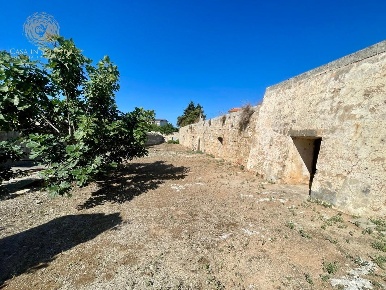 Foto Rustico a Tiggiano di 370 m² con 4 locali in vendita