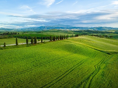 Foto Terreno residenziale a Castellamonte Centro di 2972 m² in vendita