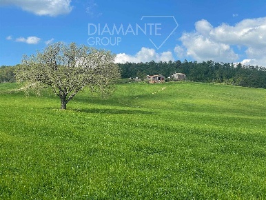 Foto Rustico a Valentano Centro di 400 m² con 3 locali in vendita