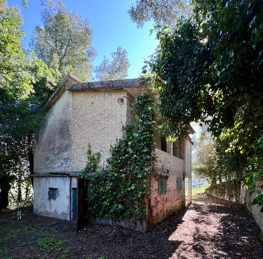 immagine annuncio 3 di 8