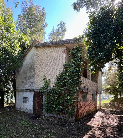 immagine annuncio 4 di 8
