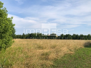 Foto Terreno residenziale a Mogliano Veneto Zerman di 7700 m² in vendita