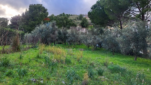 Foto Terreno residenziale in Via Eugenio Montale Piano Geli S.M. 22 8,
