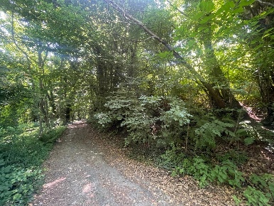 Foto Terreno residenziale in Via G. Tinetti 0, San Martino Canavese Centro