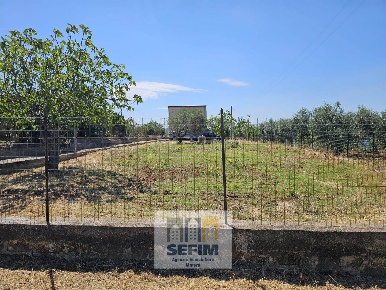 Foto Casa indipendente in CONTRADA PIANESTRIERI, Pomarico di 85 m²