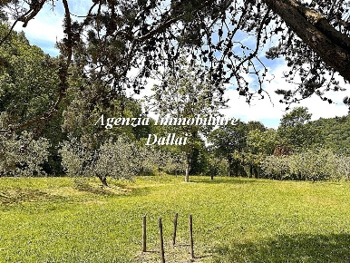 Foto Villa unifamiliare in Via Roma, Scarperia e San Piero Scarperia