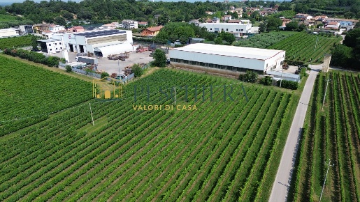 Foto Terreno residenziale in Via Bonfaini, Valeggio sul Mincio Fontanello