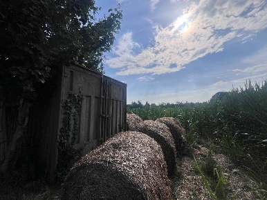 Foto Terreno agricolo in Via perine, Villorba Lancenigo Villorba di 7080 m²