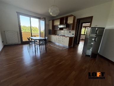 Foto Appartamento a Padova Sacro Cuore di 55 m² con 2 locali in affitto