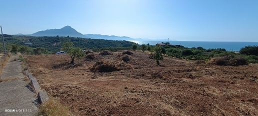 Foto Terreno agricolo in C/da Roselle, Campofelice di Roccella di 8589 m²