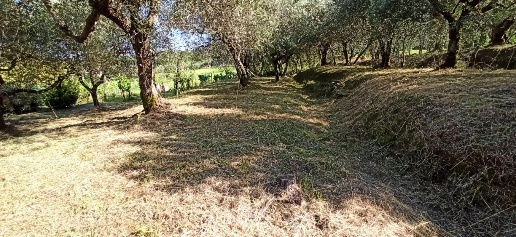Foto Case indipendenti a Capannori Lammari - Lunata di 100 m² con 4 locali