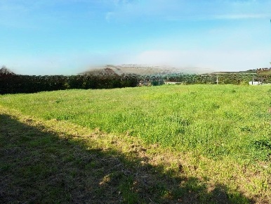 Foto Terreno residenziale a San Giuliano Terme Le Maggiola, Gello