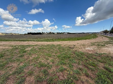 Foto Terreno residenziale a Alessano di 26000 m² in vendita