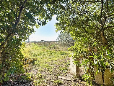 Foto Terreno agricolo a Piombino di 19940 m² in vendita