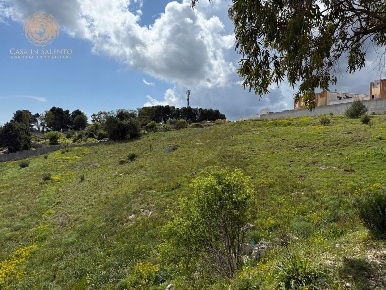 Foto Terreno residenziale a Alessano di 48600 m² in vendita