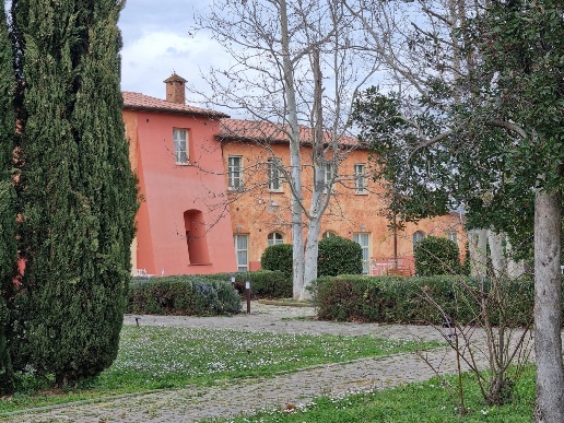 immagine annuncio 2 di 13