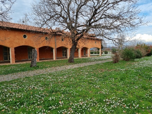 immagine annuncio 7 di 13