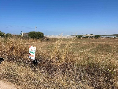 Foto Terreno agricolo in contrada burgio, Noto di 10400 m² in vendita