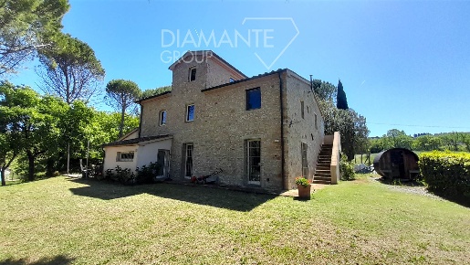 Foto Rustico a Montescudaio di 590 m² con 13 locali in vendita