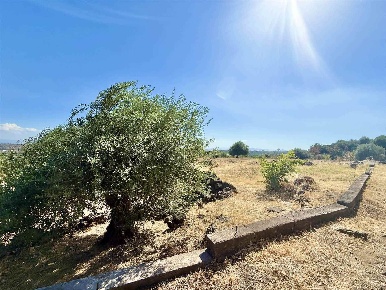 Foto Terreno agricolo in Contrada rubino, Belpasso di 3510 m² in vendita