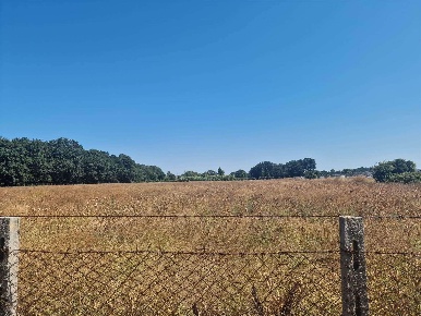 Foto Terreno agricolo in Via Batteria Siacci, Anzio Stazione Lavinio