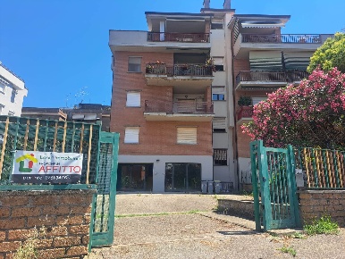 Foto Locale commerciale in Via G Puccini  6, Viterbo Grotticella - Mazzetta