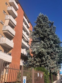Foto Appartamento in Via Bari, Milano di 30 m² con 1 locali in affitto
